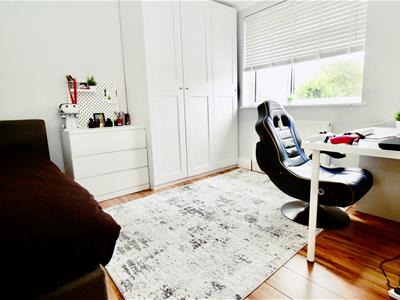 Picture 23